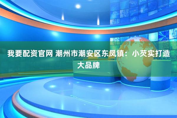 我要配资官网 潮州市潮安区东凤镇：小芡实打造大品牌