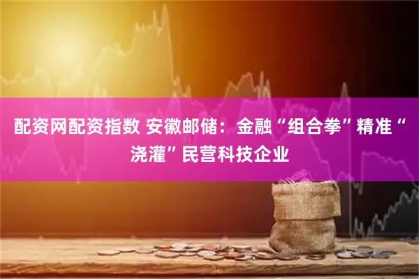配资网配资指数 安徽邮储：金融“组合拳”精准“浇灌”民营科技企业