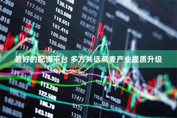 最好的配资平台 多方共话燕麦产业提质升级