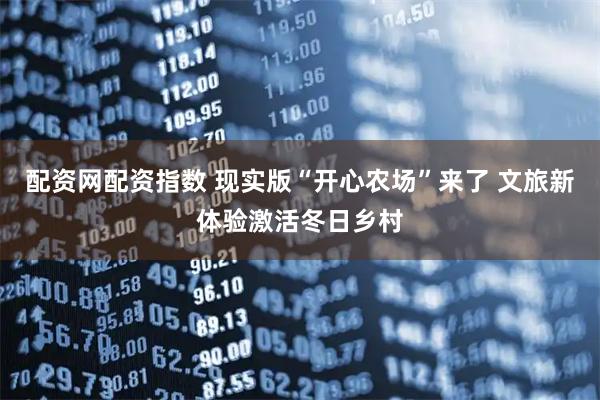 配资网配资指数 现实版“开心农场”来了 文旅新体验激活冬日乡村