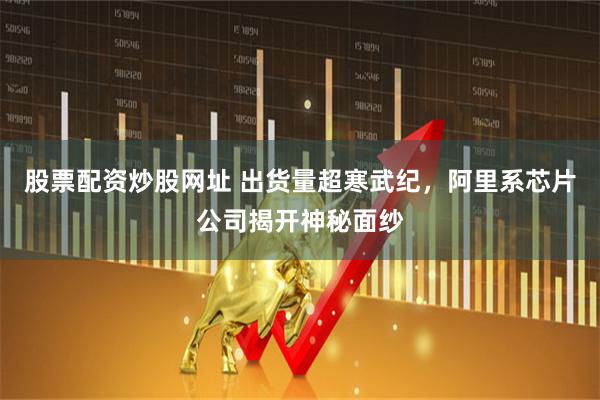 股票配资炒股网址 出货量超寒武纪，阿里系芯片公司揭开神秘面纱