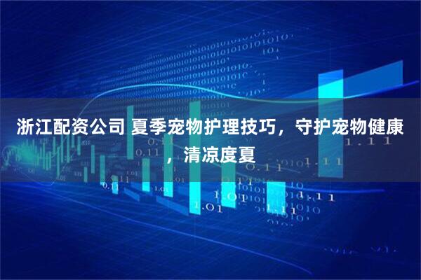浙江配资公司 夏季宠物护理技巧，守护宠物健康，清凉度夏