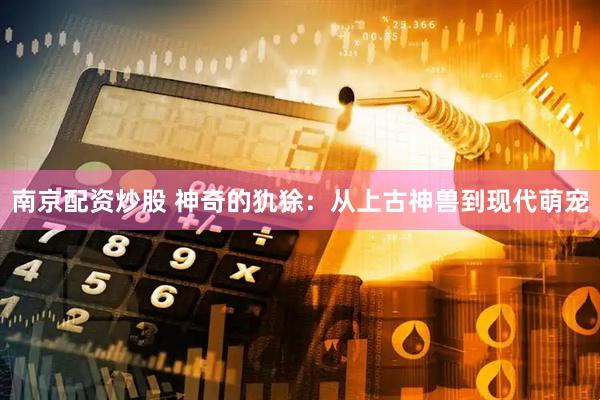 南京配资炒股 神奇的犰狳：从上古神兽到现代萌宠