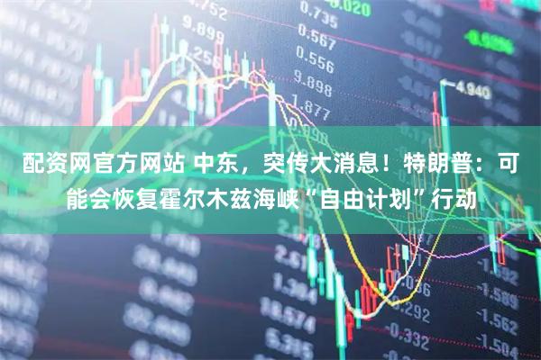 配资网官方网站 中东，突传大消息！特朗普：可能会恢复霍尔木兹海峡“自由计划”行动